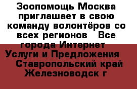 Зоопомощь.Москва приглашает в свою команду волонтёров со всех регионов - Все города Интернет » Услуги и Предложения   . Ставропольский край,Железноводск г.